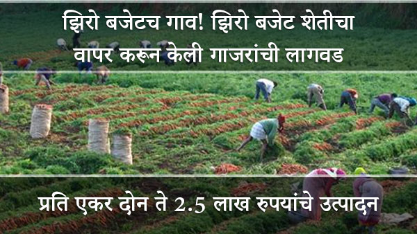 zero budget farming and earn 2.5 lacs