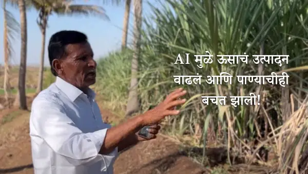Sugarcane Production