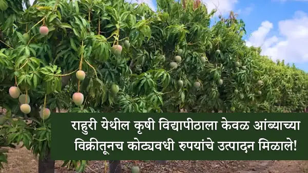 Ahilyanagar News