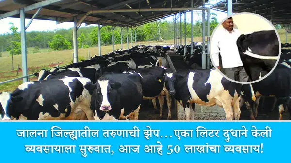 Dairy Business